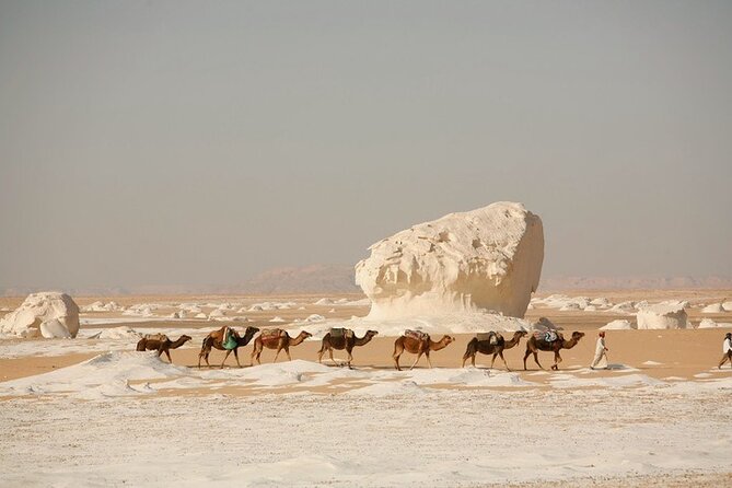 4 Days Private White Desert and Bahariya Oasis Tour - Tour Itinerary