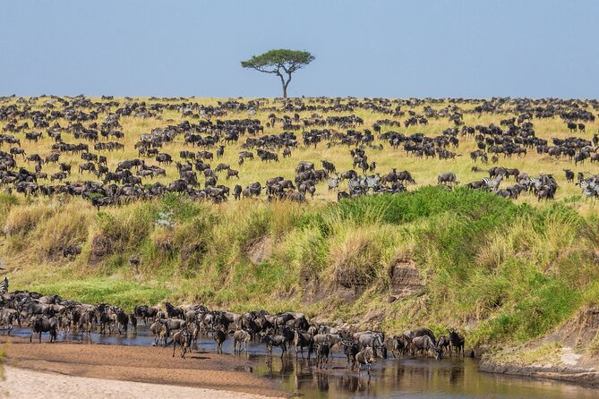 4 Days Safari Lake Manyara, Serengeti and Tarangire National Park