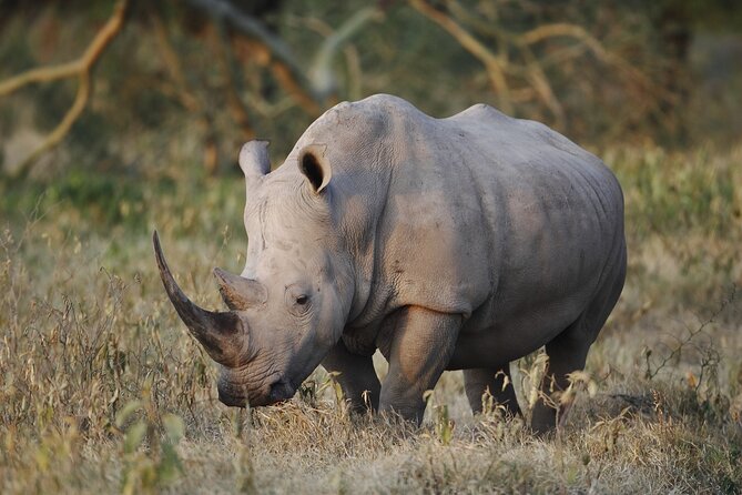 4 Days Safari With Waterfalls and Hot Spring - Accommodation and Meals Included