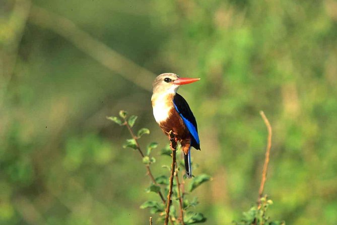 4 Days Samburu and Meru National Reserve - Inclusions and Exclusions