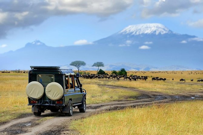 4 Days Samburu Game Reserve & Aberdare National Park-Mid Range