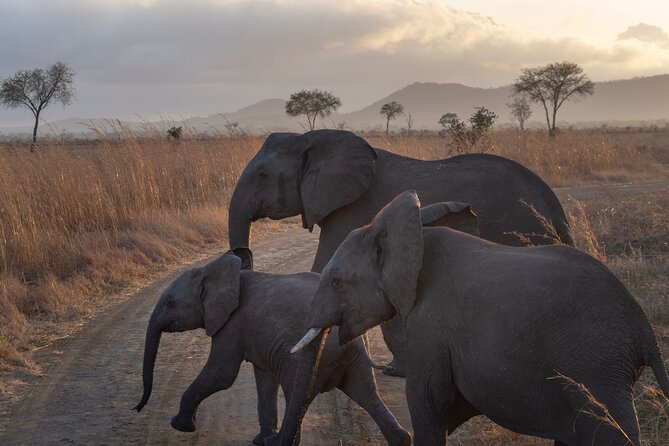 4 Days – Tarangire, Serengeti, Ngorongoro Crater - Booking Information