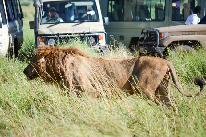 4 Days Tarangire ,Serengeti &Ngorongoro Crater Group Tour - Itinerary Overview