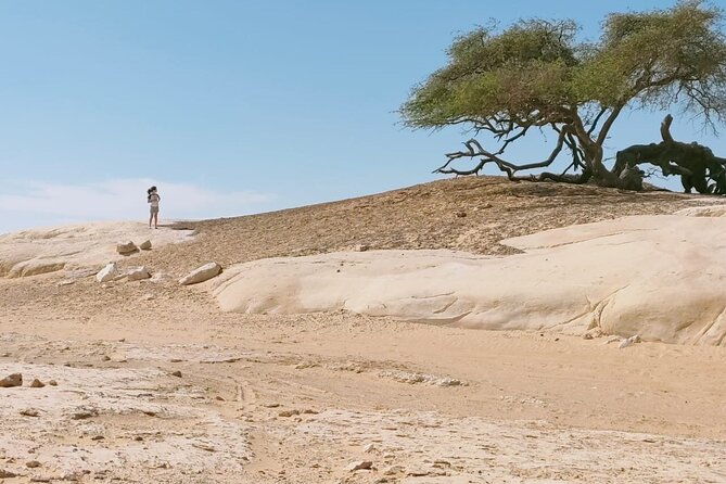 4-Days White Desert Safari Tour From Cairo - Meeting and Pickup