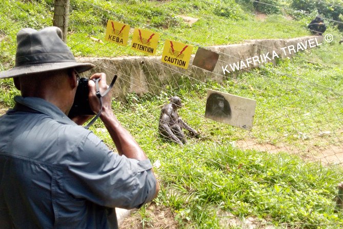 4 Days Zongo Falls, Bonobos and Kinshasa City Experience - Accommodation Details