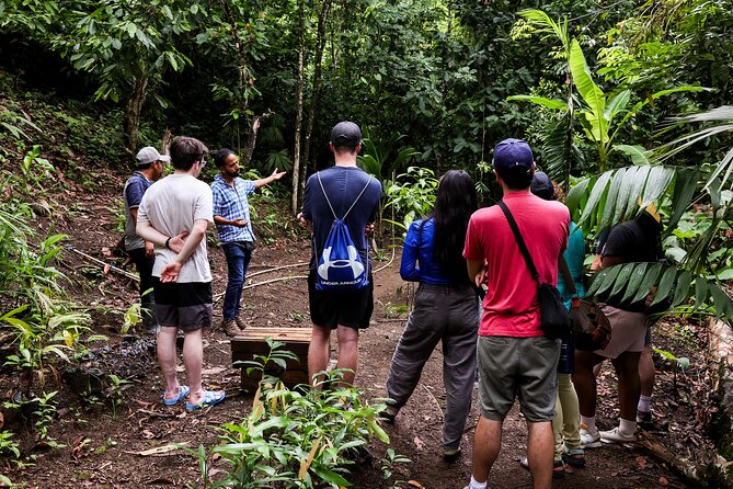 4 Hour Cacao Tour Experience - Meeting Point Instructions