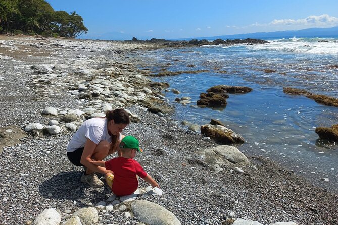 4 Hour Private Guided Tour in Osa Jungle - Inclusions