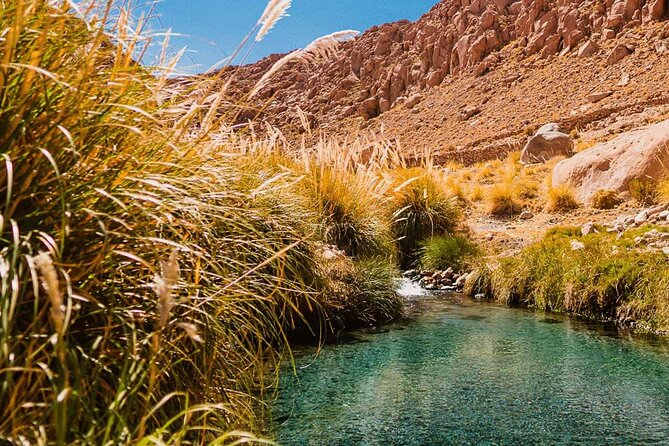 4-Hour Puritama Hot Springs Tour With Pick up in Atacama
