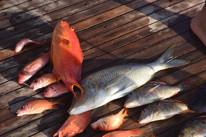 4 Hours of Fishing & Snorkeling Sea Trip by Speed Boat With Transfer - Hurghada - Trip Overview