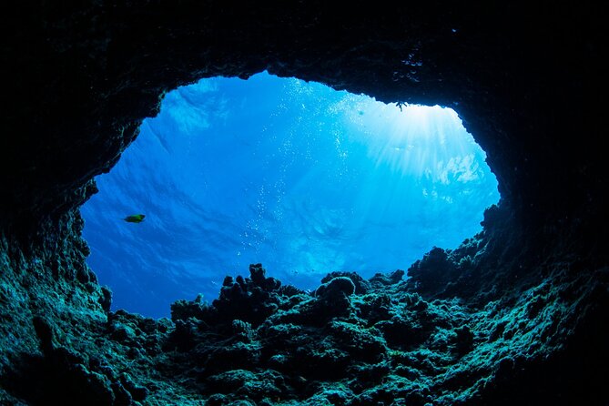 4 Hours Speed Boat Group Tour of Blue Cave, Lopud, and Kolocep