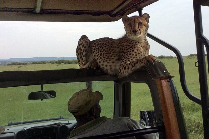 4Days Masai Mara, Lake Nakuru Group Joining Budget Camping Safari - Accommodation Details