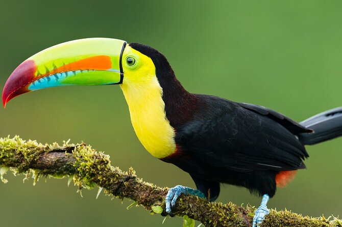 5 Day All Inclusive Private Guided Pacaya Samiria National Reserve From Iquitos - Itinerary Highlights