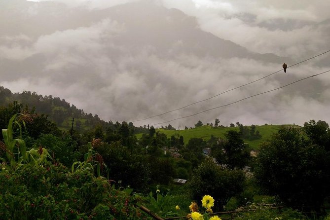 5-Day Chopta Trek With Pahadi Room Stay