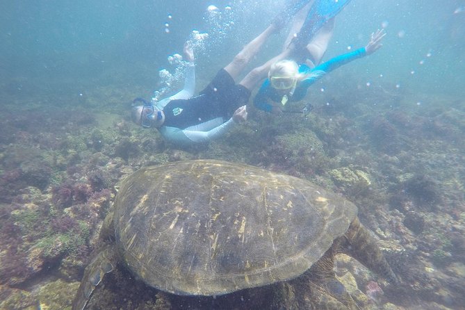 5-Day Galapagos Island Hopping Tour - Santa Cruz & Surroundings - Tour Overview
