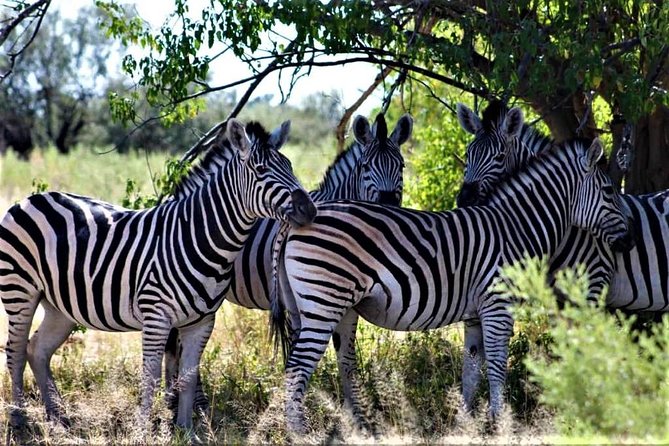 5-Day Mababe Safari - Itinerary Overview