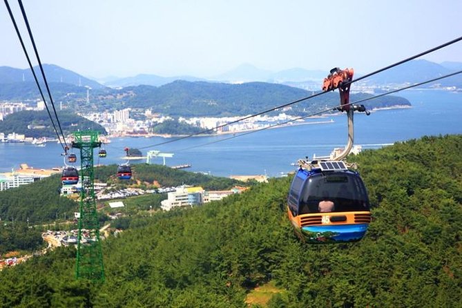 5 Day Private From Busan to Seoul,Gyeongju,Tongyeong, Boseong Green Tea Field - Itinerary Highlights