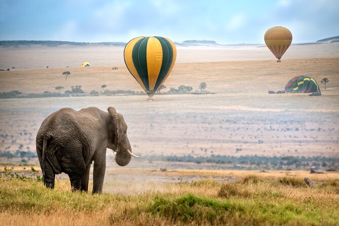 5-Day Safari Tour With Kilimanjaro Day Hiking in Tanzania - Itinerary Overview