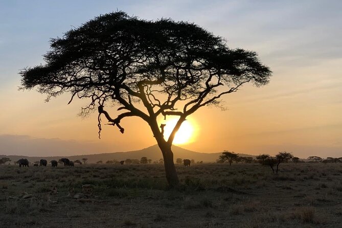 5-Day Tanzania Group Joining