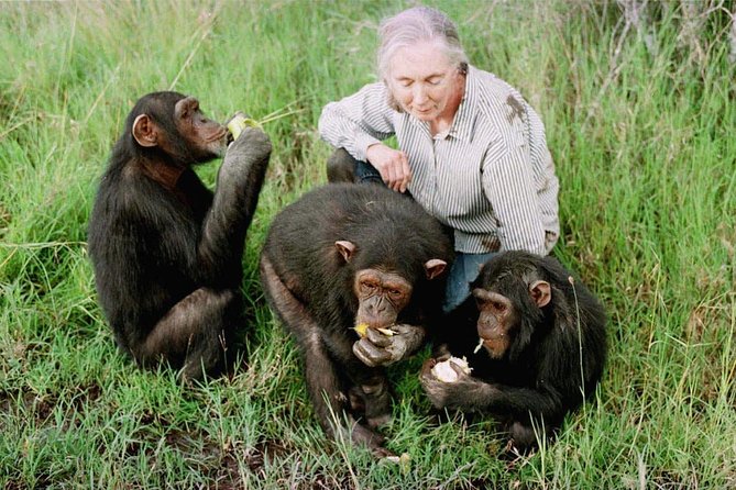 5 Days Aberdares, Ol Pejeta & Samburu Luxury Safari on 4×4 Jeep