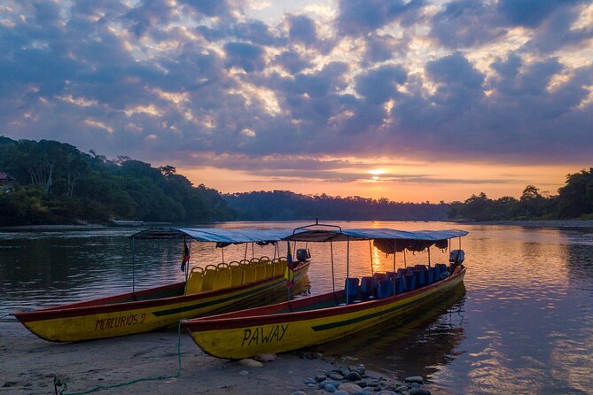 5 Days Embark on an Epic Amazonian Adventure From Quito, Ecuador - Itinerary and Activities