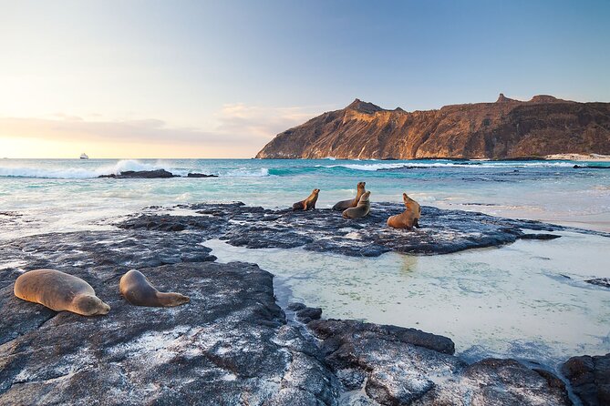5 Days Galapagos Wildlife Discovery - Day 1: Arrival and Baltra Island