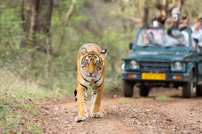 5 Days Golden Triangle With Ranthambore(Tigers and Taj Mahal Sunrise) - Itinerary Overview