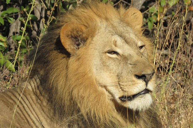 5 Days Leopard Safari - Safari Duration and Location