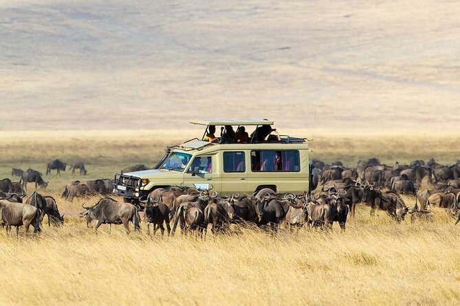 5 Days Maasai Mara And Riftvalley Lakes Safaris - Safari Highlights
