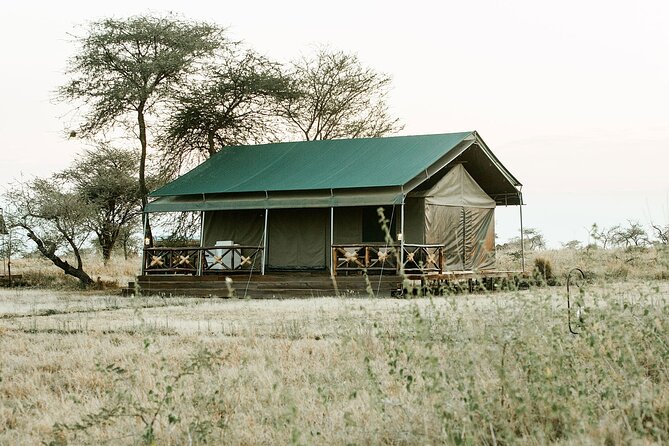 5 Days Mara River Crossing Wildebeest Migration in Serengeti