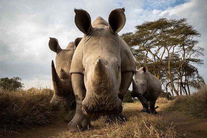 5 Days Masai Mara With Lake Nakuru and Naivasha Tour by 4x4 Jeep - Accommodation Details