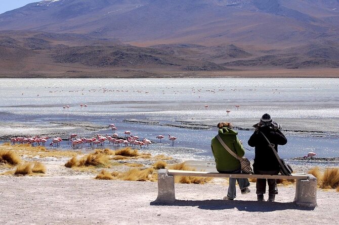 5-days Private Guided Tour in Uyuni - Pricing and Group Sizes