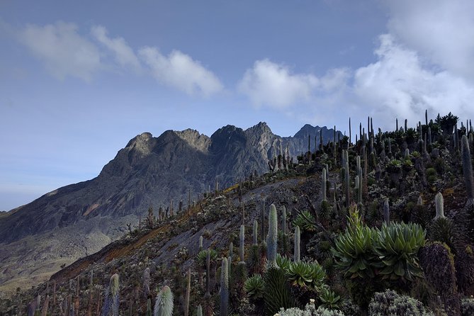 5 Days Rwenzori Hiking Uganda
