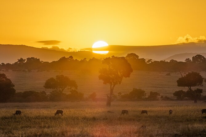 5- Days Safari to Maasai Mara, Lake Nakuru and Aberdares National Park