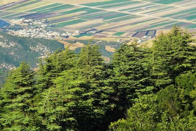 5 Days Top Desert Tour From Fes to Marrakech - Inclusions and Exclusions