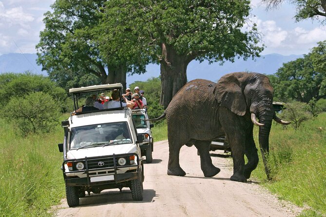 5 Days Wildlife Adventure - Mombasa - Itinerary Overview