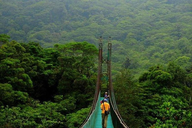 5-In-1 Monteverde Cloud Forest Experience With Ziplining and Hanging Bridges - Maximum Travelers and Operator
