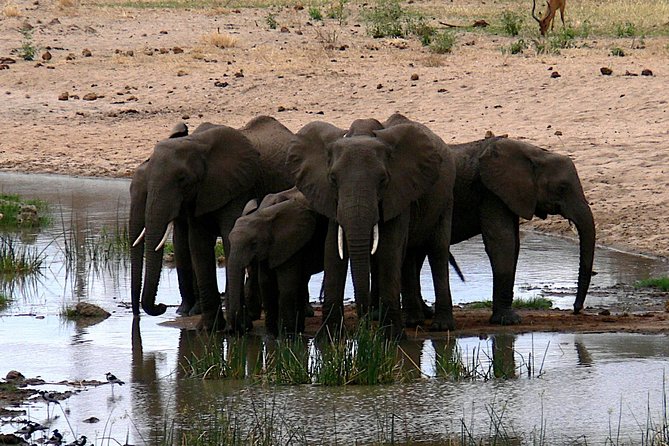 5day Nyerere Off Bitten & Mikumi Adventure Safari