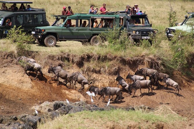 5DAYS Masai Mara Nakuru Naivasha Joining Group Budget Safari - Meal Options