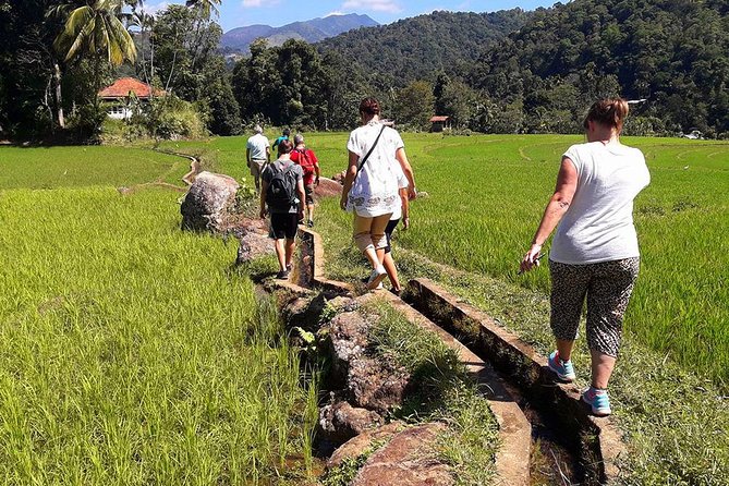 6-Day Authentic Experiences in Sri Lanka - Cultural Immersion