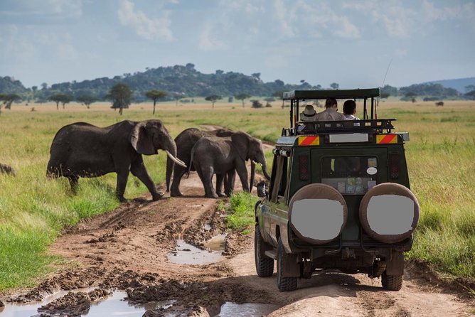 6-Day Best of Tanzania Wildlife Safari- Comfort - Tour Details