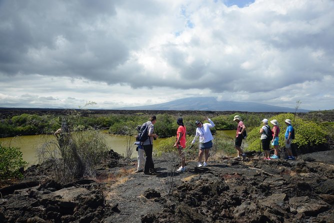 6-Day Galapagos Islands Plus Bike, Kayak, Hike, Snorkel