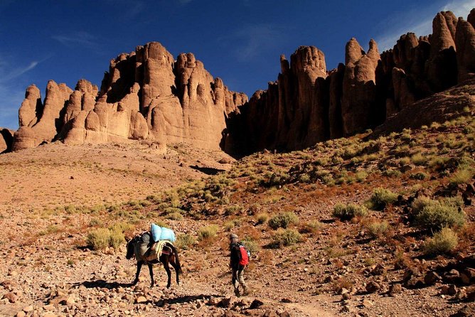 6-day Jbel Saghro Ascent Trek - Guided Excursion Highlights