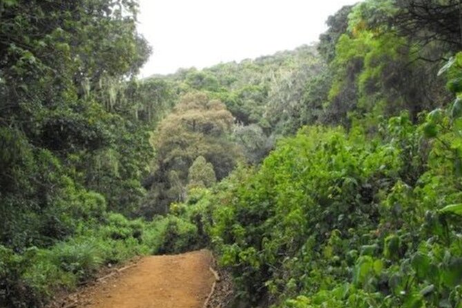 6-Day Private Kilimanjaro Climbing Machame Route From Arusha - Inclusions