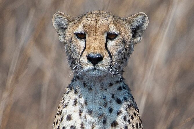 6 Days Camping Safari in Northern Tanzania