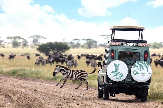 6 Days Exclusive Luxury PrivateTanzania Safari