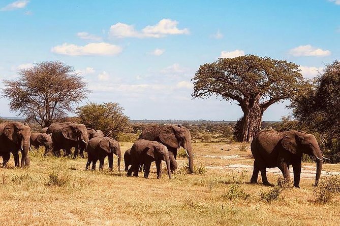 6 Days Lodge Safaris - Overview