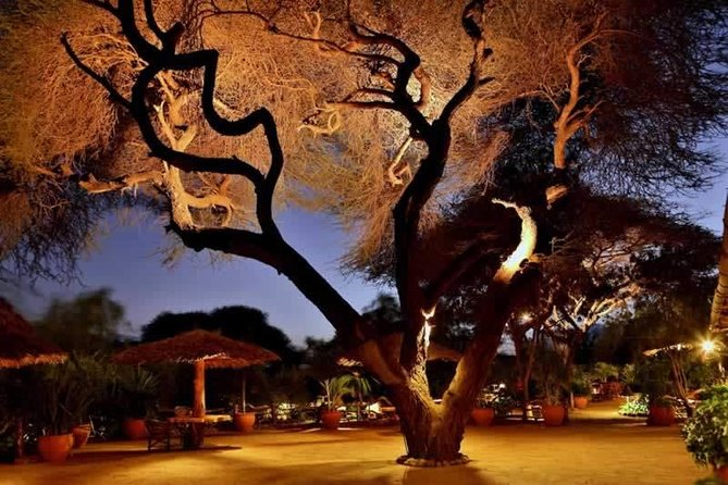 6 Days Luxury Tented Camping Safari Adventure - Accommodation Details