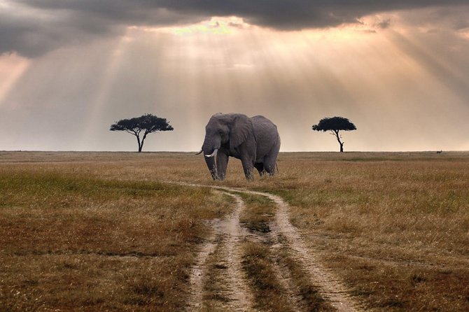 6 Days Maasai Mara-Amboseli Budget Safari (Daily Departure+24h Customer Service) - Accommodation Details