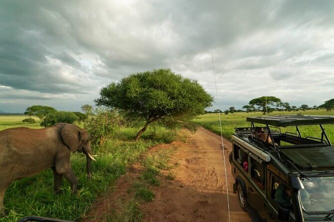 6 Days Masai Mara Serengeti and Ngorongoro on 4×4 Landcruiser