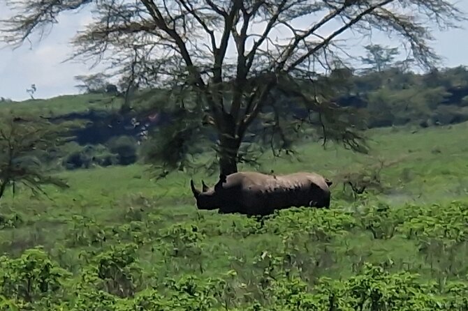 6 Days Private Tour in Mt Kenya Circuit Wild Safari